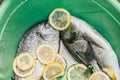 Fresh and raw fish with lemon and parsley in a green plastic basin in the garden in summer, ready and wait for the rost