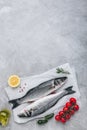 Fresh raw fish sea bass seabass with rosemary and vegetables on gray stone background Royalty Free Stock Photo