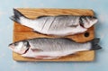 Fresh raw fish seabass on cutting wooden board on blue background. Closeup. Top view. Horizontal format Royalty Free Stock Photo