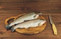 Fresh raw fish trout is two pieces on the board Royalty Free Stock Photo