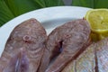 Fresh raw fish on white plate with green leaf and lemon Royalty Free Stock Photo