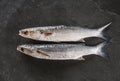 Fresh raw fishes on dark stone background. Seafood, top view, flat lay