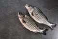 Fresh raw fishes on dark stone background. Seafood, top view, flat lay