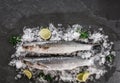 Fresh raw fishes with spices, lemon on ice over dark stone background. Creative layout made of fish, Seafood, top view, flat lay Royalty Free Stock Photo