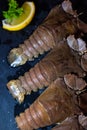 Fresh raw Flathead lobster or Thenus orientalis Royalty Free Stock Photo