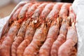 Fresh raw and frozen langoustines lying in box, close-up view Royalty Free Stock Photo
