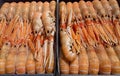 Fresh raw frozen lobster in a box