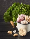 Fresh raw garlic bulbs and cloves in white cup and green salade Royalty Free Stock Photo
