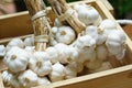 Fresh raw garlic wooden box, copy space, outdoor kitchen raw ingredient concept Royalty Free Stock Photo