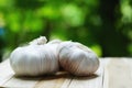 Fresh raw garlic on wooden table in garden, copy space, outdoor kitchen raw ingredient concept Royalty Free Stock Photo