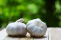 Fresh raw garlic on wooden table in garden, copy space, outdoor kitchen raw ingredient concept Royalty Free Stock Photo