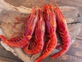 Fresh raw giant red carabineros prawns