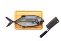 Fresh Raw  Giant Trevally Fish on Cutting Board Flat Lay Royalty Free Stock Photo