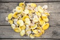 Fresh raw golden oyster mushrooms on wooden table, Pleurotus citrinopileatus