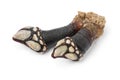 Fresh raw goose barnacles on white background close up Royalty Free Stock Photo