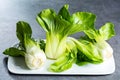 Fresh raw baby Bok choy or pak choi Chinese cabbage Royalty Free Stock Photo