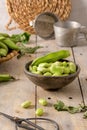 Fresh and raw green broad beans Royalty Free Stock Photo