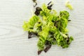 Fresh raw green lettuce red little gem on grey wood Royalty Free Stock Photo