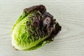 Fresh raw green lettuce red little gem on grey wood Royalty Free Stock Photo