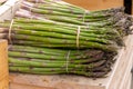 Fresh raw green asparagus vegetables for sale in french farmers market in Arles, France