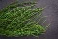 Fresh raw green samphire Royalty Free Stock Photo