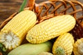 Fresh raw heads of corn in a basket Royalty Free Stock Photo