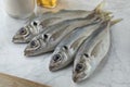 Fresh raw horse mackerels Royalty Free Stock Photo