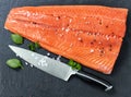 Fresh raw pacific wild king salmon on natural stone with spices and basil leaves