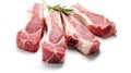 fresh raw lamb chops isolated on white background Royalty Free Stock Photo