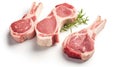 fresh raw lamb chops isolated on white background Royalty Free Stock Photo