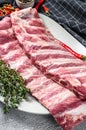 Fresh raw lamb spare ribs with spices and herbs. Gray background. Top view Royalty Free Stock Photo