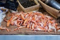 Fresh Raw Langoustine Lobsters Royalty Free Stock Photo