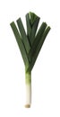 Fresh raw leek isolated on white. Ripe onion Royalty Free Stock Photo