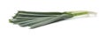 Fresh raw leek isolated on white. Ripe onion Royalty Free Stock Photo