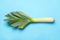 Fresh raw leek on light blue , top view. Ripe onion