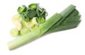 Fresh raw leek on white background. Ripe onion Royalty Free Stock Photo