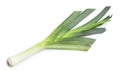 Fresh raw leek on white. Ripe onion Royalty Free Stock Photo