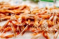 Fresh raw lobsters on ice. Royalty Free Stock Photo