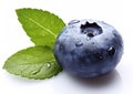 Fresh raw macro blueberry berry on white background.AI Generative