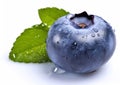 Fresh raw macro blueberry berry on white background.AI Generative