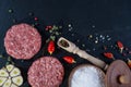 Fresh raw meat burger cutlet on the black slate board with herbs and spices for background. Royalty Free Stock Photo