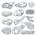 Meat collection, sketch vector illustration. Hand drawn food design elements. Beef steak, ham, pork fillet, lamb Royalty Free Stock Photo