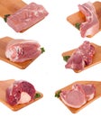 Fresh raw meat collection Royalty Free Stock Photo