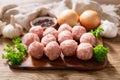 Fresh raw meatballs with ingredients for cooking Royalty Free Stock Photo