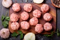Fresh raw meatballs with vegetables Royalty Free Stock Photo