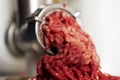 Fresh raw minced meat in the meat grinder, close-up Royalty Free Stock Photo