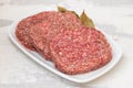fresh raw minced meat on white dish with bay leaf Royalty Free Stock Photo