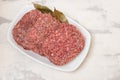 fresh raw minced meat on white dish with bay leaf Royalty Free Stock Photo