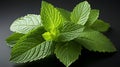 Fresh raw mint leaf or melissa leaves isolated.