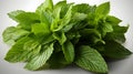 Fresh raw mint leaf or melissa leaves isolated.